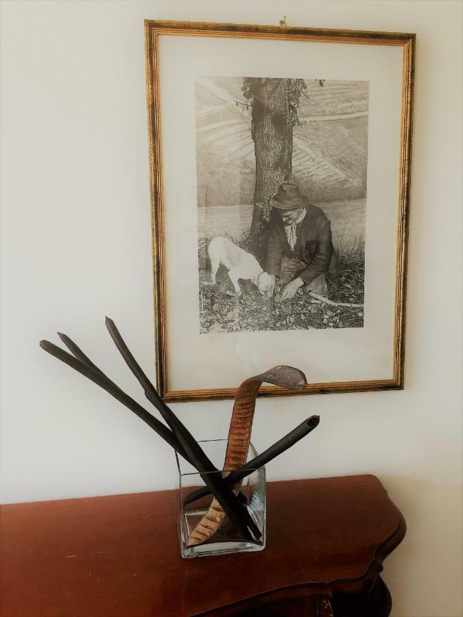 Casa "T" Daire Alba  Dış mekan fotoğraf
